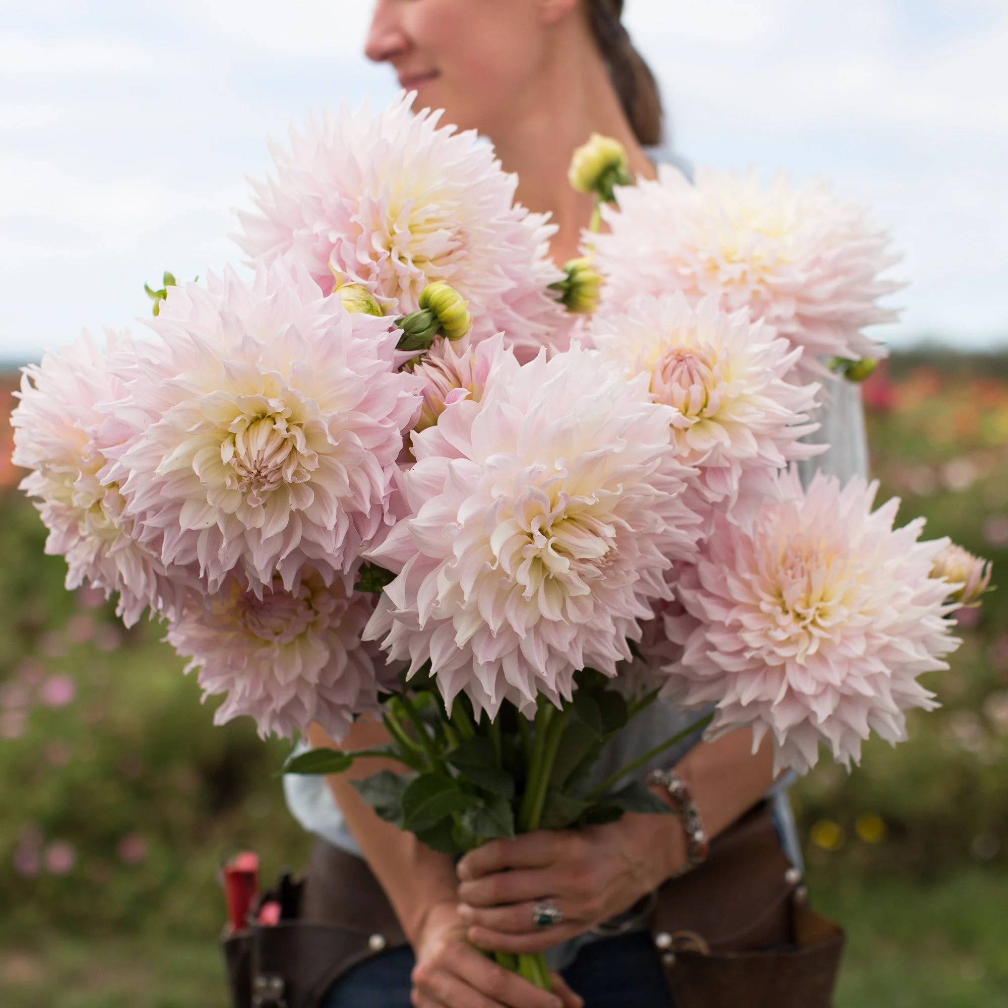 Dahlia KA’s Cloud - Image 5